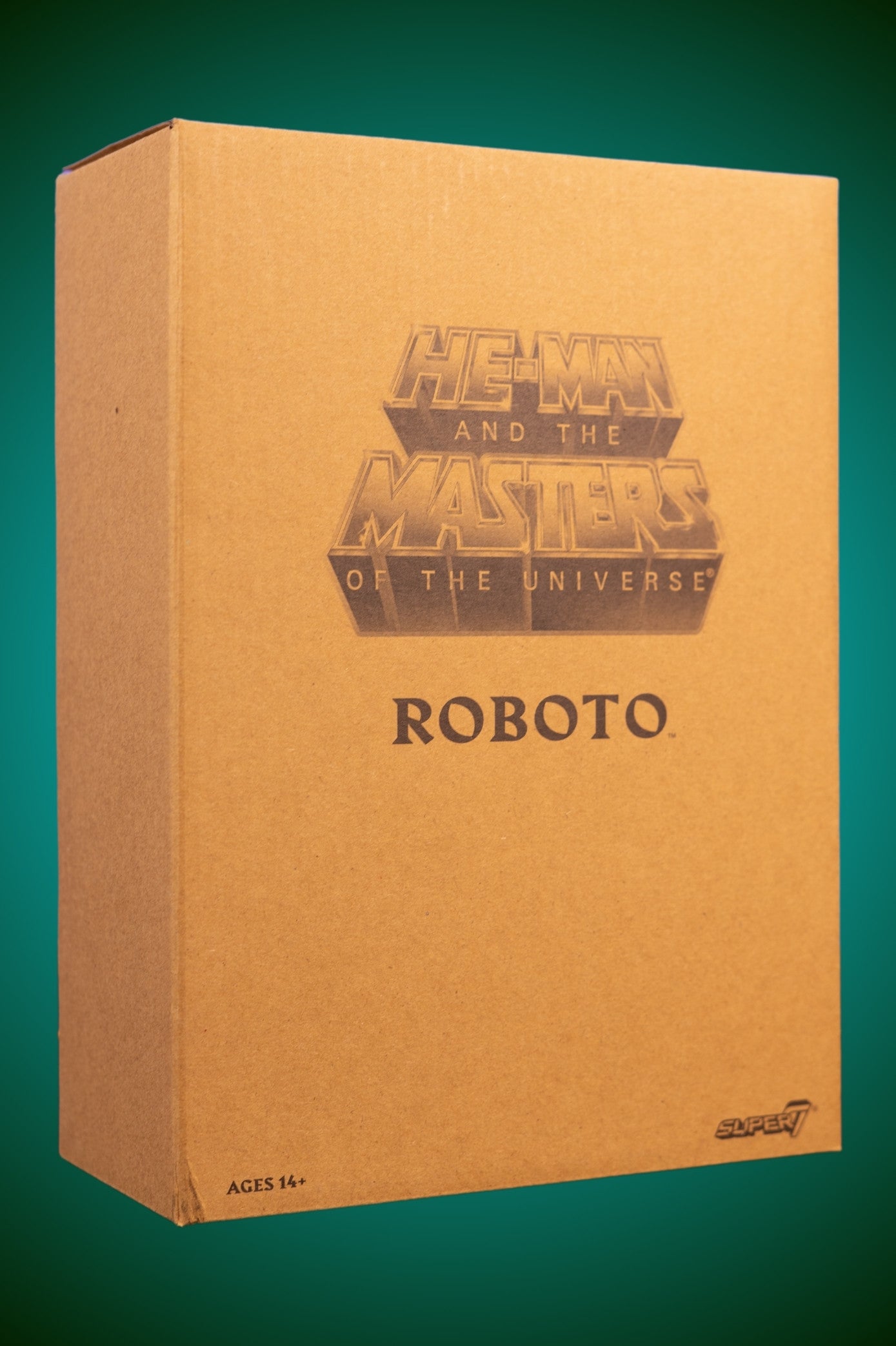 Roboto - Club Grayskull - MotUC