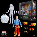 Marvel's Invisible Woman & Human Torch | Avengers: Doomsday | Marvel Legends Actionfiguren 2er-Pack 15 cm